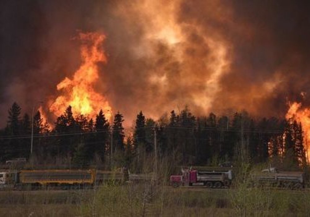 Canadian city evacuated as huge blaze engulfs homes