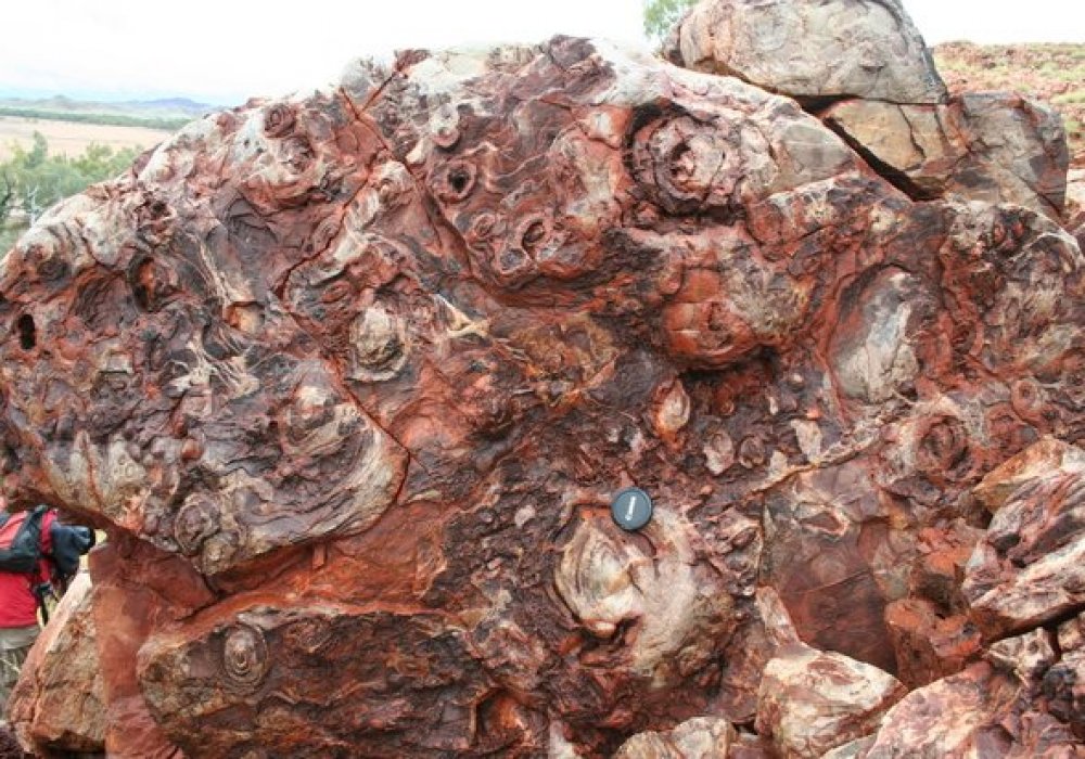 New fossils show life on Earth at least 3.7bn years old