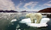 Earth sees hottest year-to-date in modern era: US
