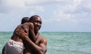 "Moonlight" to top Spirit Awards nominations