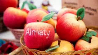 Ten ideas on what to bring with you from Almaty