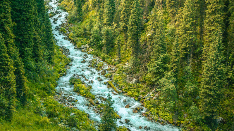 Turgen Gorge: from waterfalls to relict spruce forests