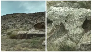 Unknown animal captured on video in Mangystau