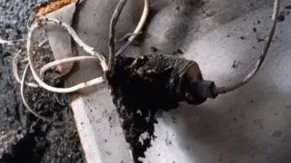 Phone charger fire leads to man's coma: New details emerge