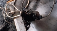 Phone charger fire leads to man's coma: New details emerge