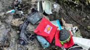 Plane carrying tourists crashes in Thailand: No survivors reported