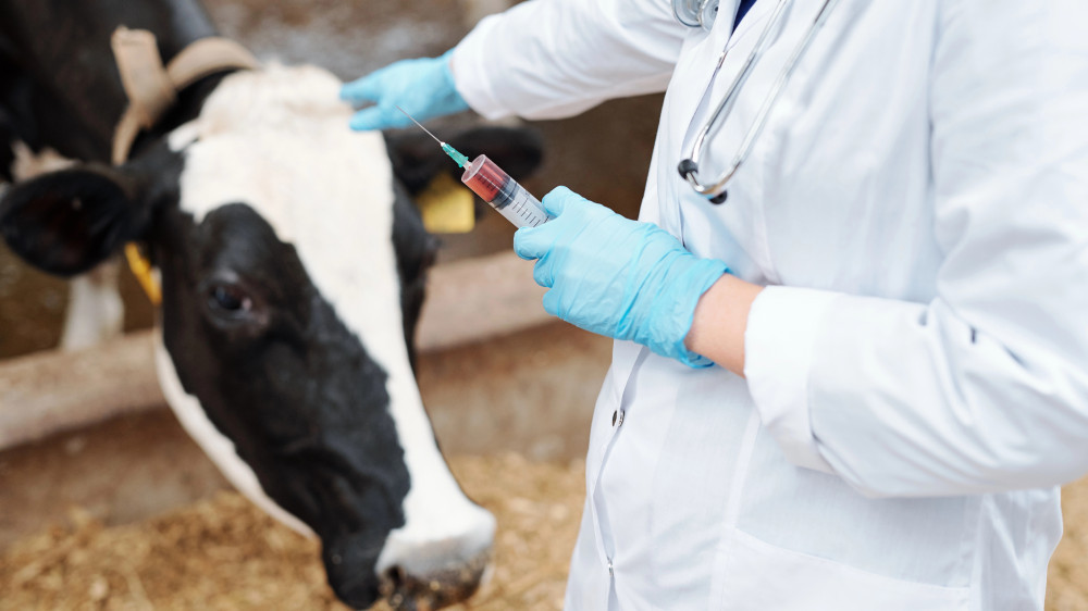 Anthrax confirmed in Kazakh village: quarantine imposed