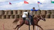 Veterinary clinic ready to care for animals in World Nomad Games