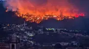 Portugal declares state of emergency as forest fires rage