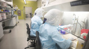 Scientists have identified the origin of the COVID-19 pandemic
