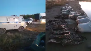 Over 600 kilograms of fish illegally caught by poachers in Borovoe