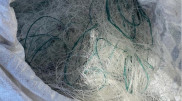 Poachers caught another 122 kilograms of fish in Borovoe