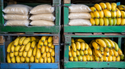 Nearly 100 kilograms of cocaine were found in supermarkets in Germany