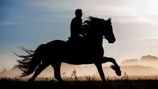Roadside “Kokpar“ leads to police action in Kazakhstan
