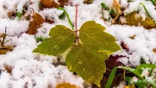 Kazakhstan expects snow this weekend