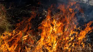 Large-scale wildfire broke out in another region of Kazakhstan