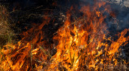 Large-scale wildfire broke out in another region of Kazakhstan