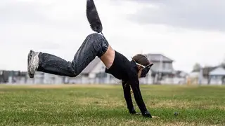 Uzbekistan made a statement on the emergence of quadrobers