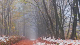 Snow, frost, and fog are expected in Astana and Almaty