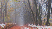 Snow, frost, and fog are expected in Astana and Almaty