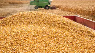 Deputy suggests limiting access for Russian goods in Kazakhstan