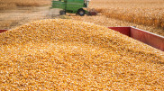 Deputy suggests limiting access for Russian goods in Kazakhstan