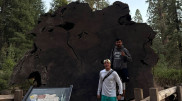 “The largest tree on Earth“: Kazakhstanis visited Sequoia National Park