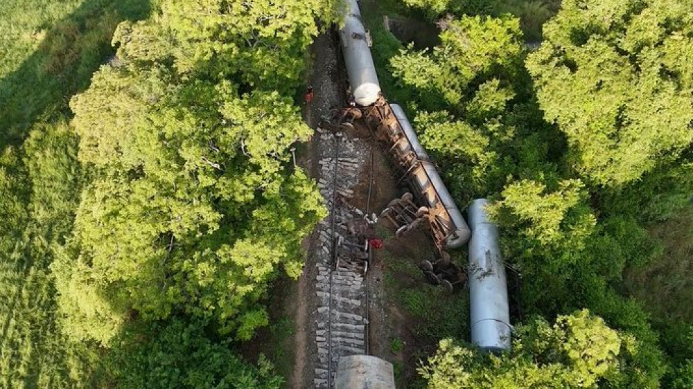 Train derailed after collision with herd of elephants in Sri Lanka