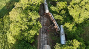 Train derailed after collision with herd of elephants in Sri Lanka