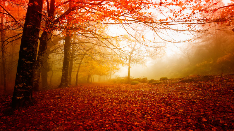 ©️ Depositphotos.com