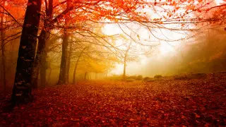 Cyclone in Kazakhstan: what weather is expected on Republic Day