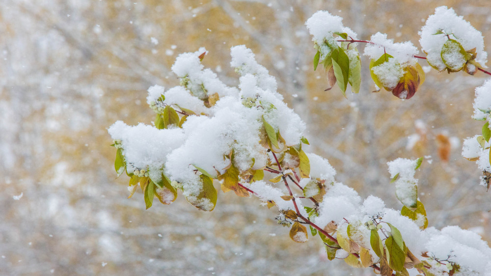 Heavy rains and snow to hit Kazakhstan