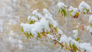 Heavy rains and snow to hit Kazakhstan