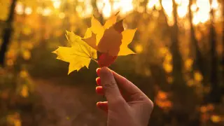 Warm weather expected in Kazakhstan