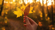 Warm weather expected in Kazakhstan
