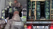 Cigarettes in cabbage tried to smuggle out of Kazakhstan