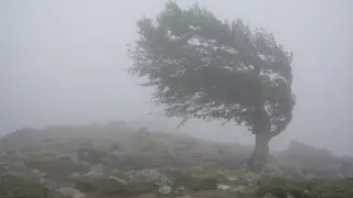 Storm warning issued for six regions in Kazakhstan