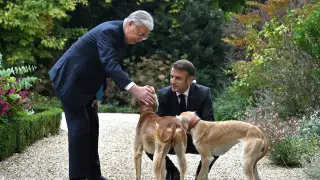 Scenes from the Elysee Palace: Tokayev and Macron with Kazakh tazy dogs