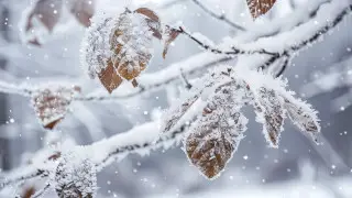 Blizzards are expected: Weather in Kazakhstan for November 7