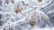 Blizzards are expected: Weather in Kazakhstan for November 7