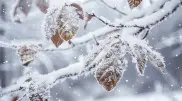Blizzards are expected: Weather in Kazakhstan for November 7