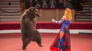 Uzbekistan will ban using wild animals in their circuses