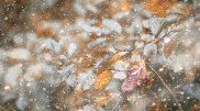 What will the weather be like in Kazakhstan on November 9, 10 and 11