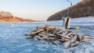Fishing to be banned in Borovoe: what is known