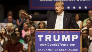 Trump recruited his team: Elon Musk, former intelligence officer, and TV host