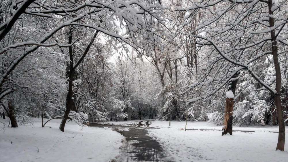 Fog and strong winds: Weather in Kazakhstan on November 18