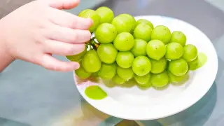 Popular Korean grapes will be tested in Kazakhstan
