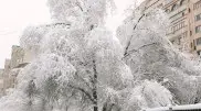 15 degrees of frost, snow: weather in Kazakhstan on November 19