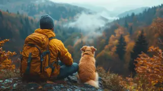Stray dog ​​helps British tourist escape in mountains