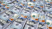 Dollar and euro are falling: the situation in exchange offices